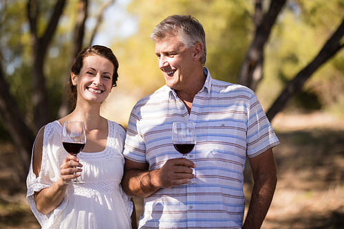 Portrait of happy couple having wine during safari vacation