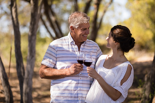 Smiling couple toasting a glass of red wine during safari vacation