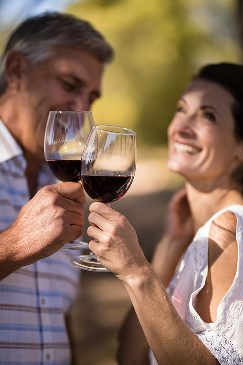 Smiling couple toasting a glass of red wine during safari vacation