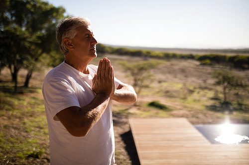 Man practising yoga on wooden plank on a sunny day