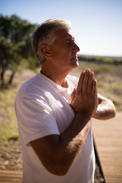 Man practising yoga on wooden plank on a sunny day