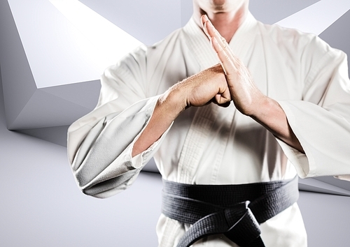 Digital composite of karateka doing kung fu against white modern room