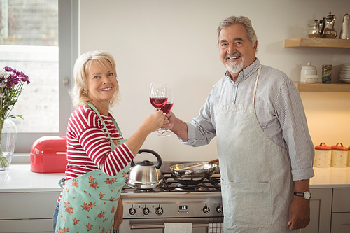 Portrait of smiling senior couple toasting glasses of wine in kitchen