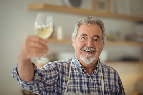Portrait of senior man holding a glass of wine at home