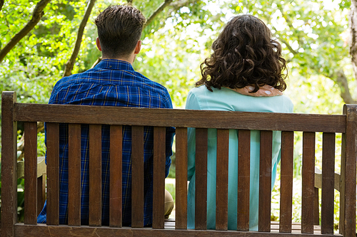 Rear view of couple sitting on bench in garden on a sunny day