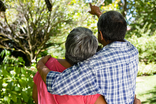 Rear view of senior couple pointing at view in garden