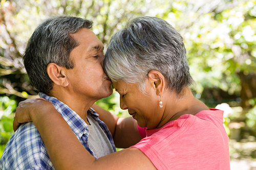 Close-up of senior man kissing woman on forehead in garden