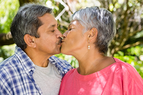 Senior couple kissing each other in garden on a sunny day