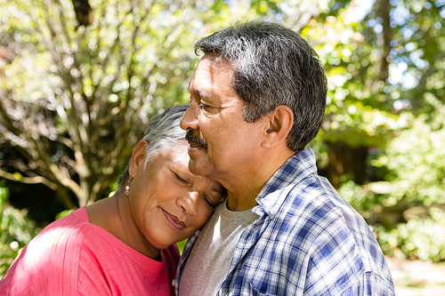 Senior couple embracing each other in garden on a sunny day