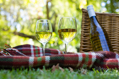 Wine glass and bottle on blanket at the park