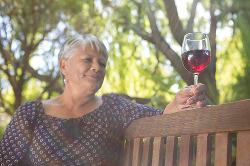 Senior woman holding wine glass at the park