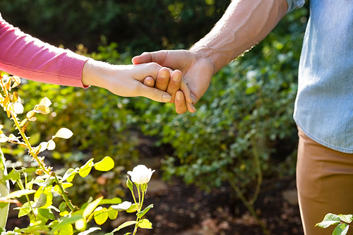 Mid-section of couple holding hands in garden