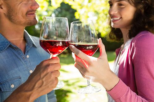 Romantic couple toasting glass of wine in park on a sunny day