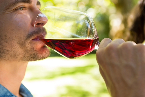 Close-up of man drinking glass of red wine in park