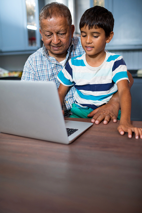 Grandfather with boy using laptop while sitting at table
