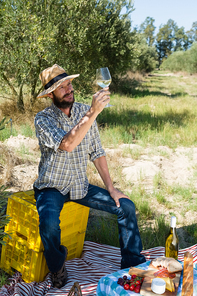 Smiling man looking a glass of wine in olive farm