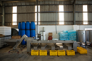 Yellow crate kept next to the conveyor belt in olive factory