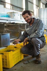 Portrait of worker checking a harvested olives in factory