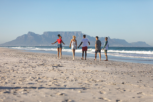 Rear view of diverse friends walking together on the beach