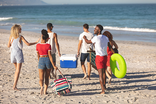 Rear view of group of happy diverse friends walking together on the beach