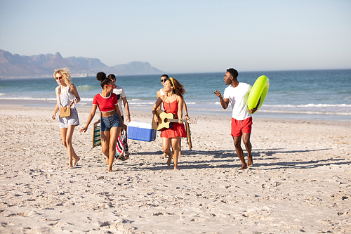 Front view of group of happy diverse friends walking together on the beach