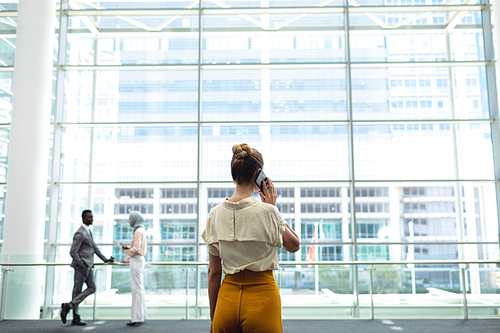 Rear view of young female executive looking outside in office while calling