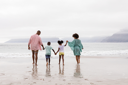 Rear view of African american family walking together hand in hand on the beach