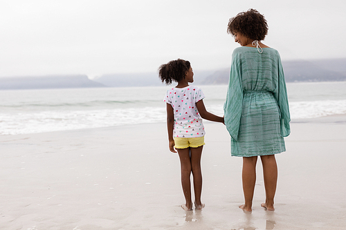 Rear view of African american mother and daughter standing together on the beach