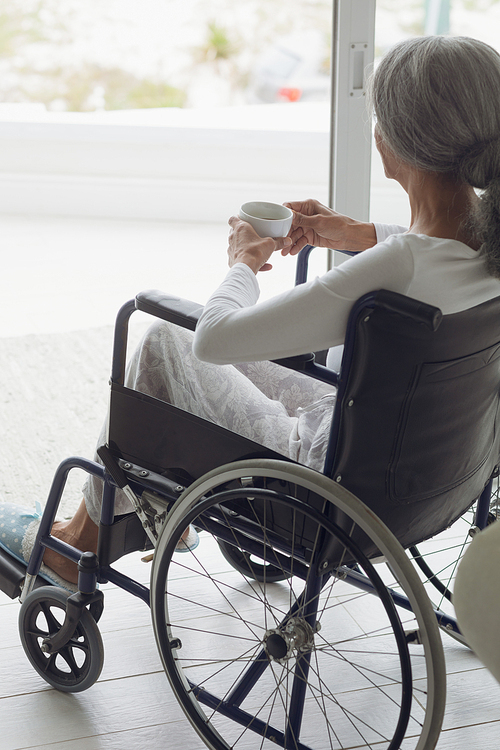 Rear view close up of woman on wheelchair drinking coffee indoor. Authentic Senior Retired Life Concept