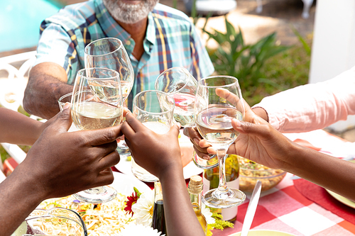Mid section of a Senior African American couple and their family spending time together in the garden on a sunny day, sitting by a table and making a toast with wine.