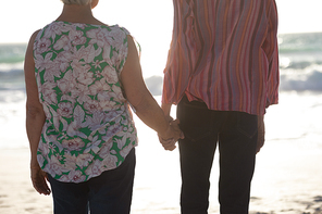 Rear view mid section of a senior Caucasian couple at the beach in the sun, holding hands and looking out to sea
