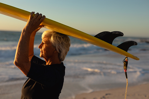 Side view close up of a senior Caucasian woman at the beach at sunset, standing on the sand holding a surfboard on her head, looking out to sea