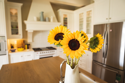 Close up view of sunflowers in a vase in a bright kitchen interior. Self isolating and social distancing in quarantine lockdown during coronavirus covid 19 epidemic.