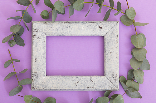 Rustic wooden frame surrounded by green leaves on purple background. flower spring summer nature freshness copy space.