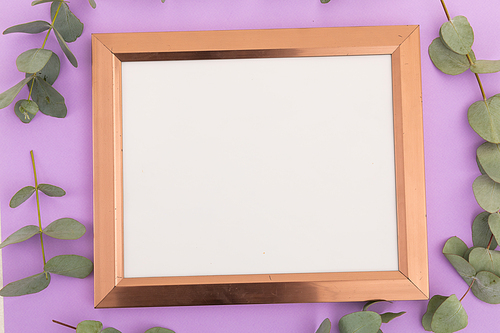 Wooden frame with white background surrounded by green leaves on purple. flower spring summer nature freshness copy space.