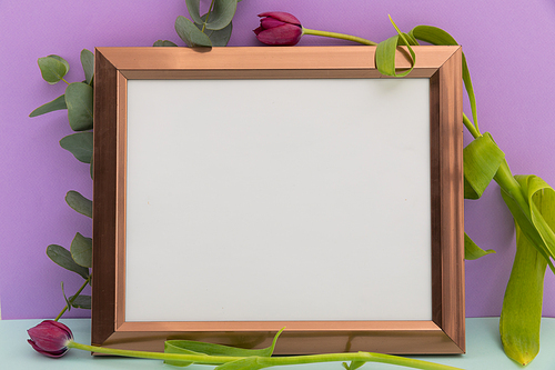 Wooden frame with white background with tulips on purple background. flower spring summer nature freshness copy space