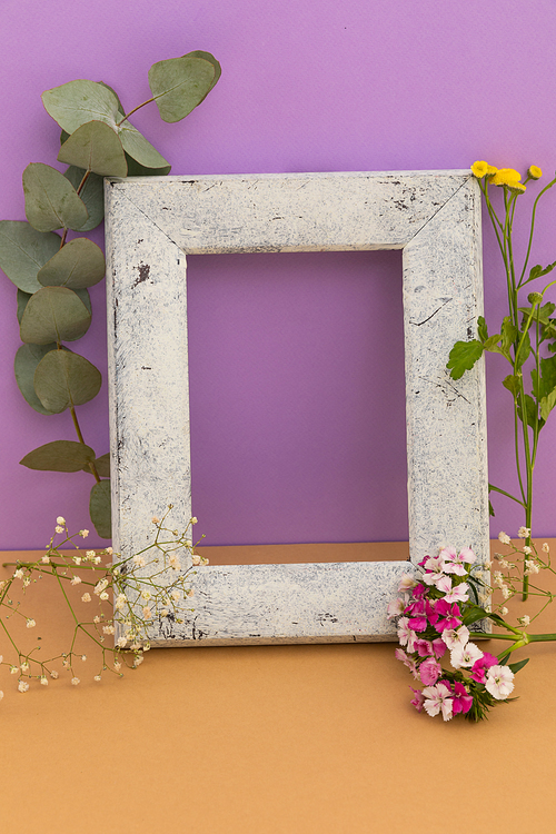 Rustic wooden frame with flowers and plants on purple and orange background. flower spring summer nature freshness copy space.