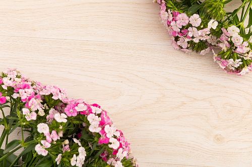 Two bunches of pink flowers in corners on wooden background. celebration romance flower spring nature freshness copy space.