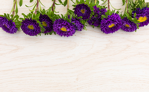 Purple flowers in a row at the top on wooden background. flower spring summer nature freshness copy space.