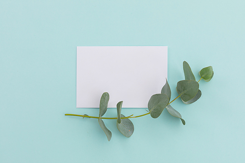 White envelope with twig and leaves lying on pale blue background. freshness plant greetings message letter copy space.