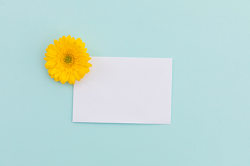White envelope with yellow gerbera flower lying on pale blue background. freshness plant greetings message letter copy space.