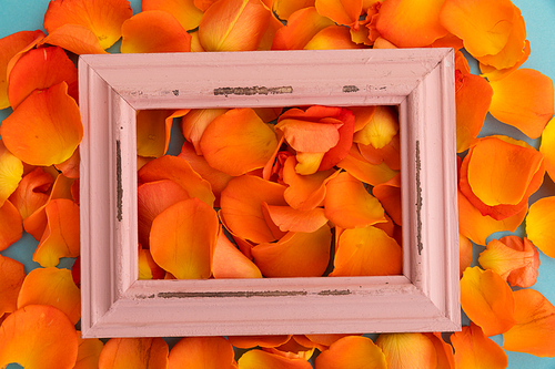 Close up of orange rose petals with red rustic frame on blue background. valentine's day romance love flower copy space concept.