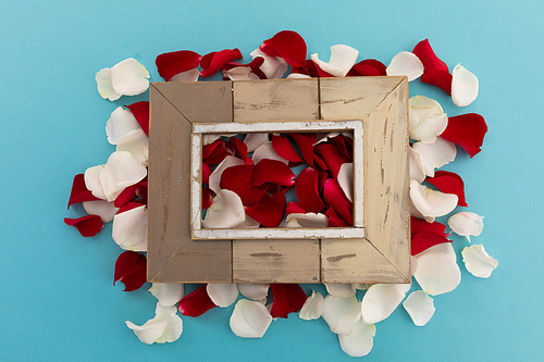 Wooden frame over white and red rose petals on blue background. valentine's day romance love flower concept.