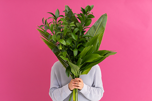 Caucasian woman covering her face with bunch of leaves on pink. nature summer colour plant beauty.