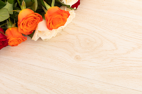 Orange and white roses in top left corner on wooden background. celebration romance flower spring nature freshness copy space.