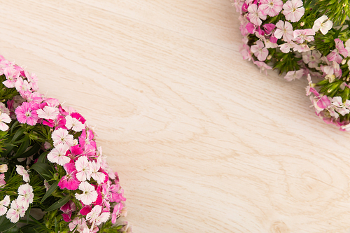 Two bunches of pink flowers in corners on wooden background. celebration romance flower spring nature freshness copy space.
