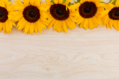 Sunflowers in a row at the top on wooden background. flower spring summer nature freshness copy space.