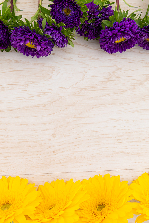 Yellow and purple flowers on top and bottom on wooden background. flower spring summer nature freshness copy space.