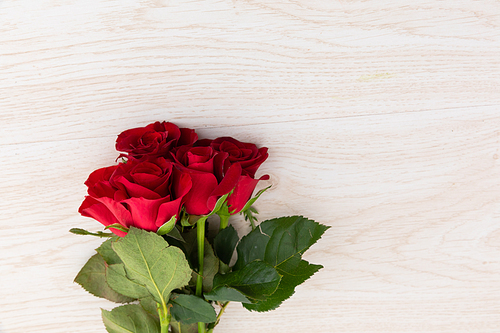 Bunch of red roses lying on wooden background. romance flower spring summer nature freshness copy space.