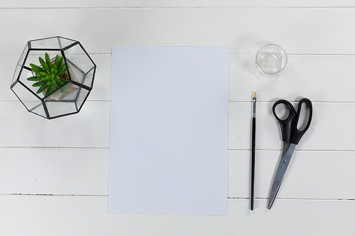 Top view of a white sheet of paper, a brush and scissors with a green plant arranged on a plain white background
